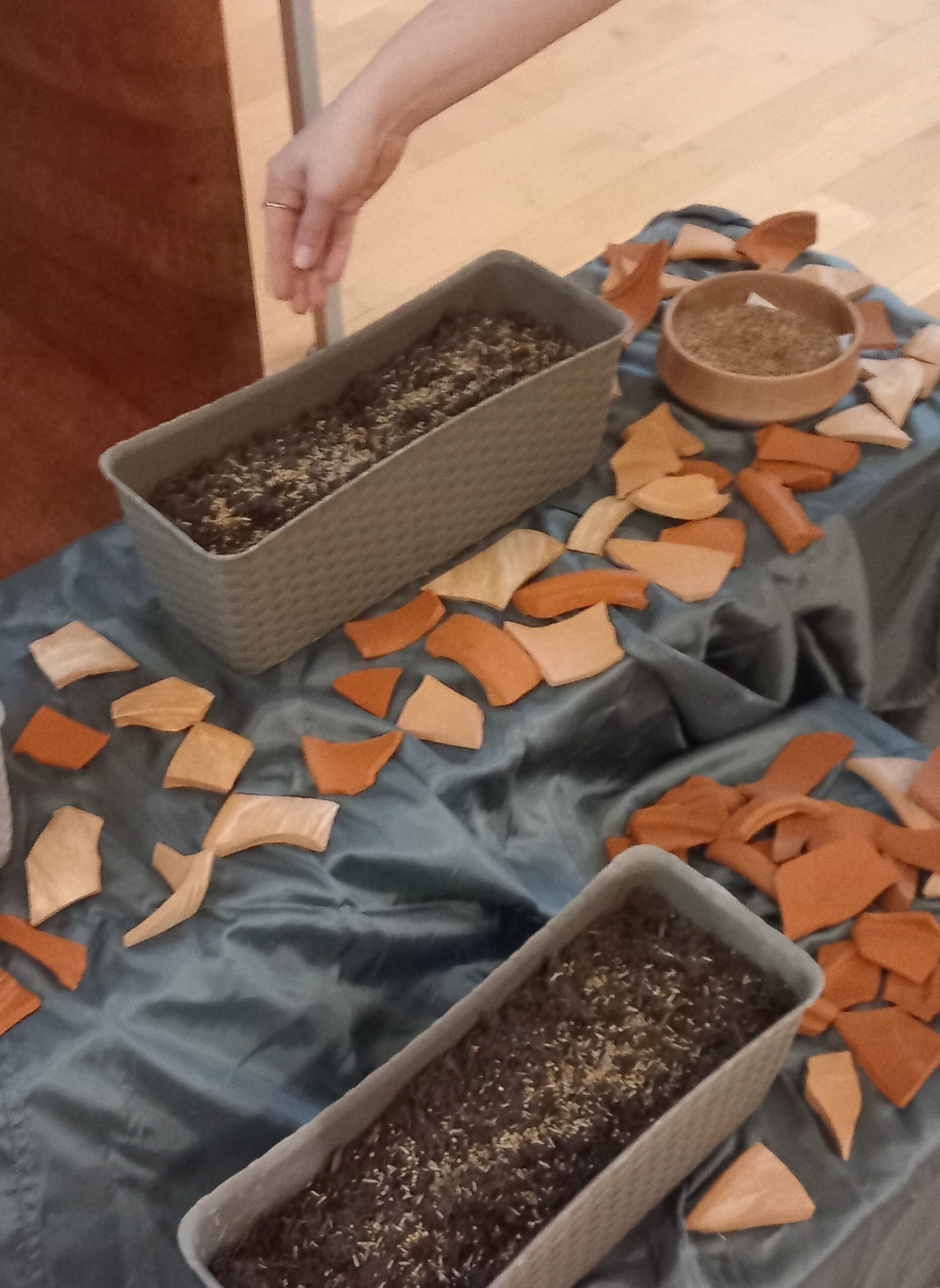 Scherben und Blumensamen