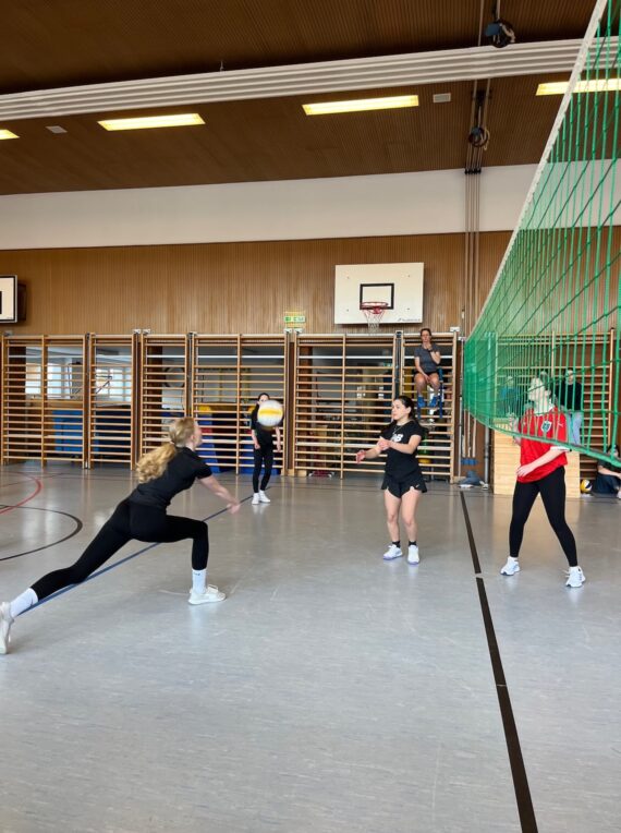 Volleyballturnier_4