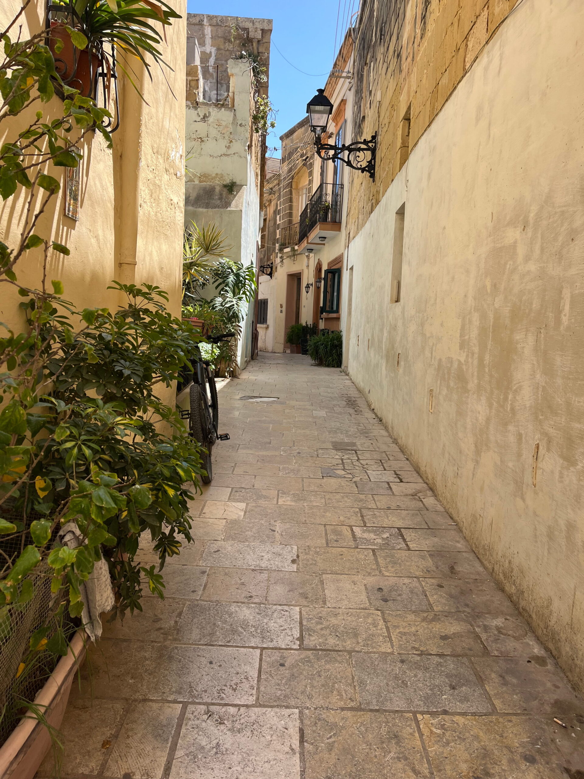 3 Gozo (1)